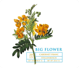 Big Flower Cabernet Franc Stellenbosch