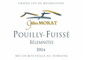 Gilles Morat Pouilly-Fuisse Belemnites