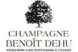 Benoit Dehu Champagne Brut Nature Cuvee De La Rue Des Noyers (Lot V16)