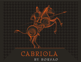 Bodegas Borsao Campo De Borja Cabriola 2017