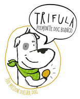 Trifula Piemonte Bianco 2017