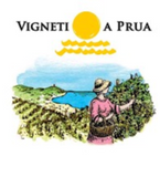 Vigneti a Prua Riviera Ligure di Ponente Pigato Late Harvest 2015