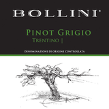 Bollini Trentino Pinot Grigio 2021