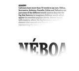 Neboa Rías Baixas Albarino