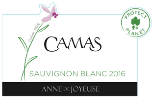 Anne de Joyeuse Sauvignon Blanc Camas