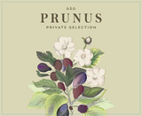 Gota Wine Prunus Private Selection Dao