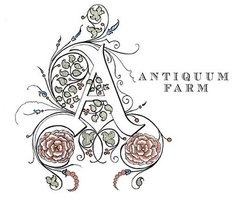 Antiquum Farm Pinot Gris Aurosa Willamette Valley