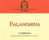 Cantine Antonio Caggiano Falanghina