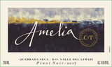 Amelia Chile Pinot Noir Quebrada Seca Valle Del Limarí
